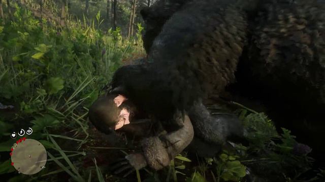 Arthur Attacked by a Grizzly - Red Dead Redemption 2 PC смотреть онлайн