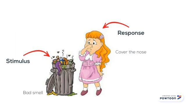 Stimulus & Response #TMU1043 смотреть онлайн