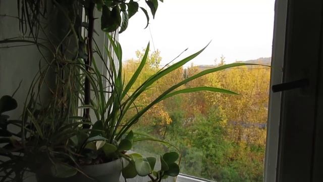 Вся жизнь - театр смотреть онлайн