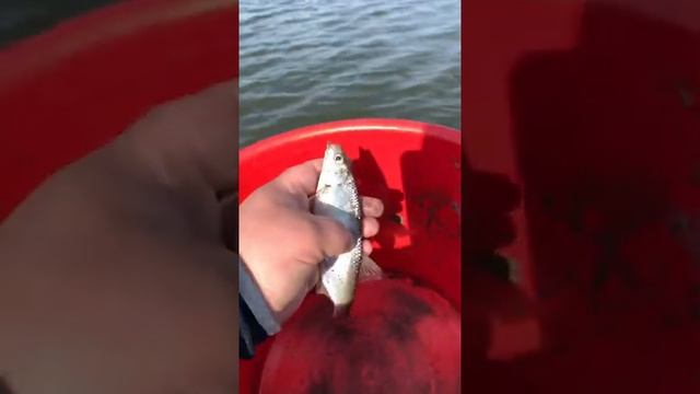 Рыболовный Дневник. Копёнкское водохранилище 2021. «ЧАСТЬ1» смотреть онлайн