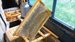 Чем я распечатываю соты? Варианты снятия забруса. Что лучше? Советы на опыте!