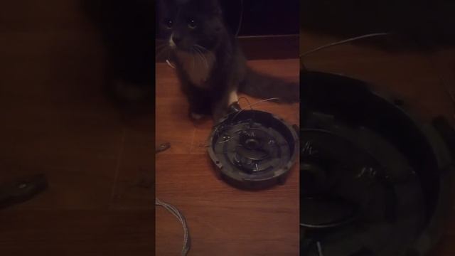 чиним стартер буран смотреть онлайн