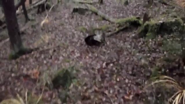 Готовим на праздник