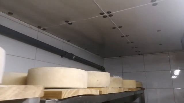 Оборудование для камер созревания сыра. смотреть онлайн