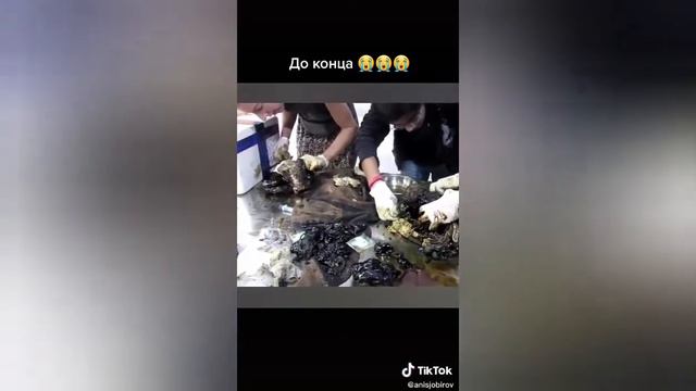 (23.01.2020г.)Давайте,С ЛЮБОВЬЮ ЗАБОТИТЬСЯ О ТОМ, ЧТО НАМ ДОВЕРИЛ НАШ ЛЮБИМЫЙ СОЗДАТЕЛЬ!!!🔎🔭📝😢😘 смотреть онлайн