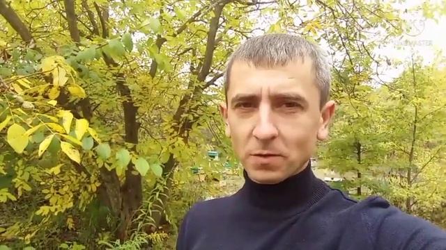 пчеловодство-укус пчелы что делать/ мёд-bee смотреть онлайн