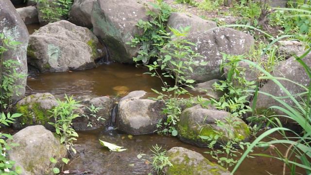 SONY ECM-GZ1M Microphone Test with NEX-6 смотреть онлайн