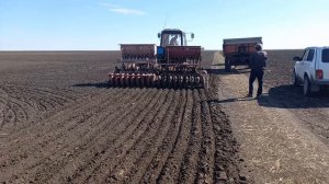 МТЗ-80 с двумя сеялками потянет или нет? Посевная 2022.