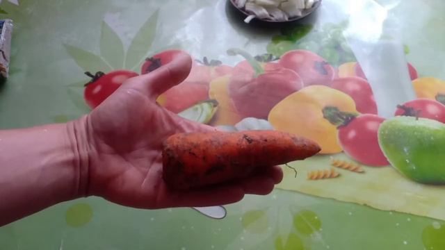 Рыба под соусом, вкуснота из вкусноты. Готовим филе