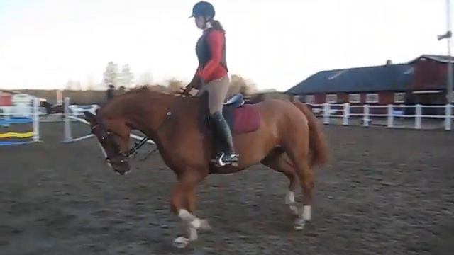 080506 - Anna Nordin & Wilcox смотреть онлайн