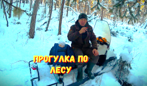 ГДЕ ВЕСЬ СОБОЛЬ??? КУДА ВСЁ ПРОПАЛО???