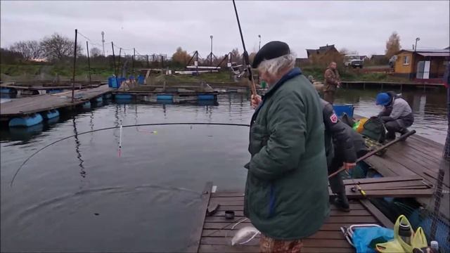 Поимки форели с самого утра! Клевое место, д. Савельево смотреть онлайн