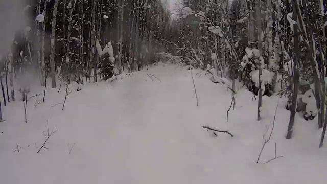 Вернулись и ноги целы(без монтажа). смотреть онлайн