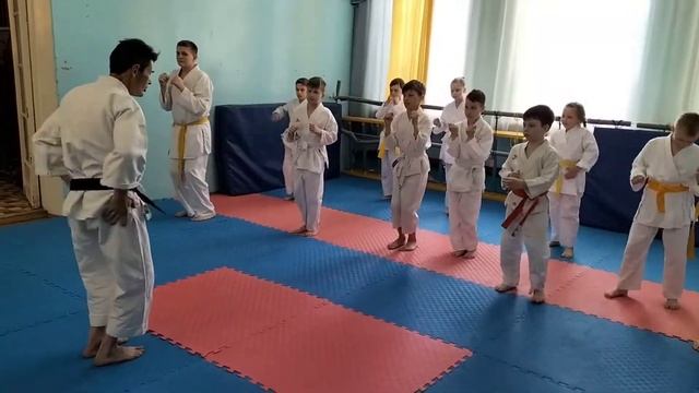 Удары ногами. Мае-гери кеаге и кекоми. Семинар по каратэ - 2. смотреть онлайн