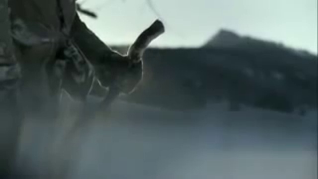 Это видео будоражит почти всех жителей земли смотреть онлайн