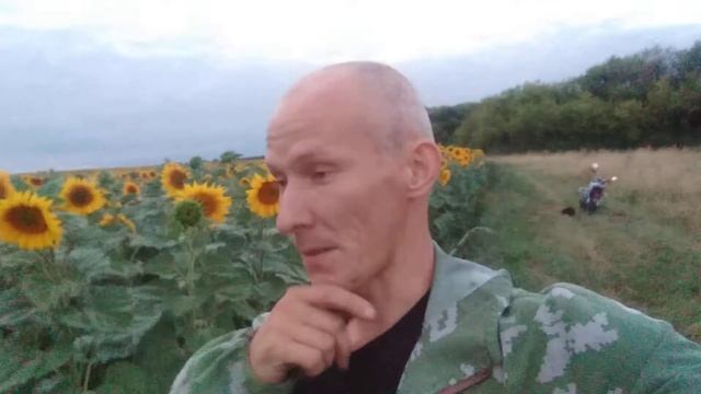 Июль. Зацвёл царь медоносов! смотреть онлайн