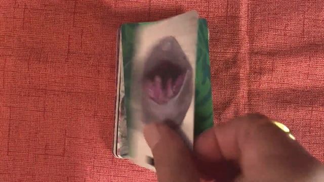Inner Landscape Oracle Deck Review & Flip Through смотреть онлайн