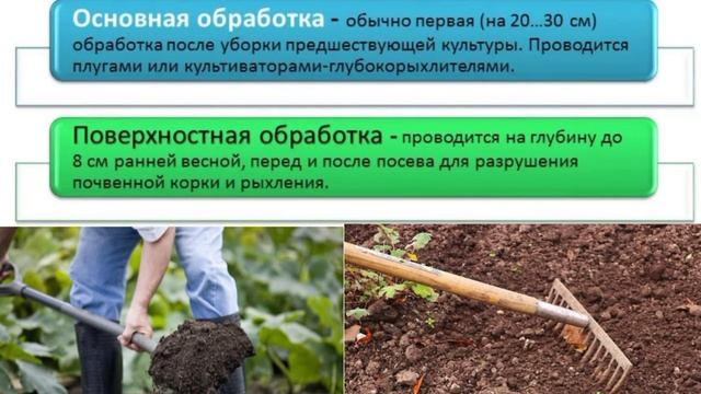 Художественный труд, 5 класс. Весенние работы в растениеводстве. смотреть онлайн