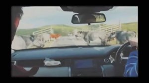 My Heart's in the Highlands - Robert Burns