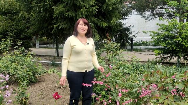 Дицентра Великолепная. (Разбитое сердце). смотреть онлайн