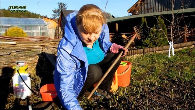 ЧЕМ ПОДКОРМИТЬ ЧЕСНОК ВЕСНОЙ, чтобы он был БОЛЬШОЙ и ЗДОРОВЫЙ! Советы от ЗЕЛЕНОГО ОГОРОДА! смотреть онлайн