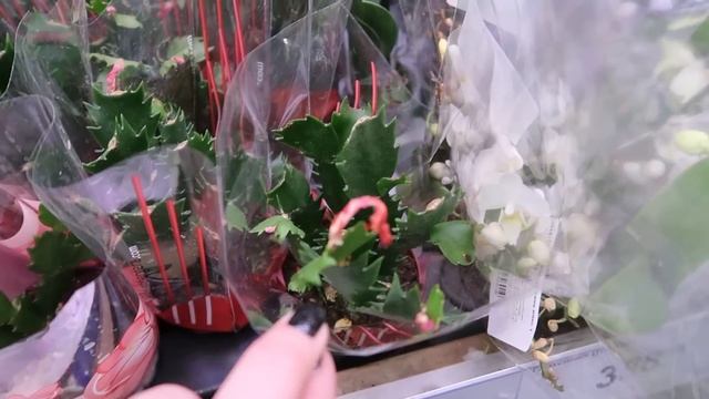 МАЛЕНЬКАЯ ПОКУПКА//ЛЕРУА МЕРЛЕН ВДОХНОВЛЯЮСЬ//ДЕВЧОНКИ ВЫПОЛНИЛИ МИССИЮ//VLOG #влог#леруамерлен смотреть онлайн