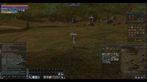 Lineage 2 (Lineage II) Мануал. Как начать играть? Кем начать играть!?