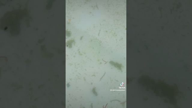 Мегаултра твист смотреть онлайн