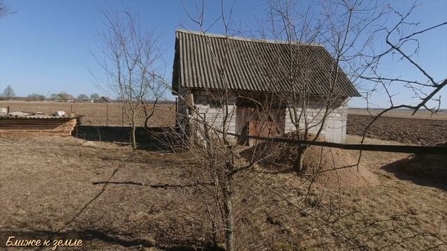 Часть 6. ПРИПОДНЯТЫЕ ГРЯДКИ. Начинаем РАЗГРЕБАТЬ САРАЙ. Первые посадки в теплице. смотреть онлайн