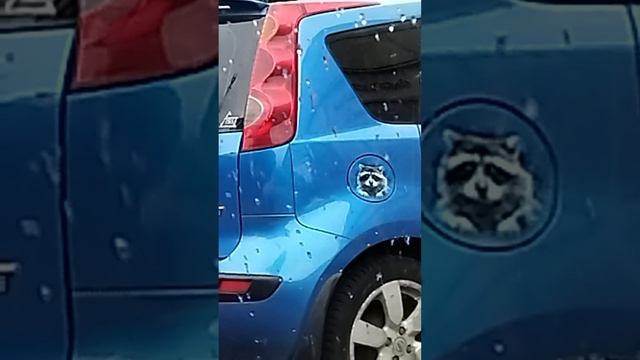 Дон ЕНОТ #рыжийтест #Япестовв #ZOO #shorts #енот #note смотреть онлайн