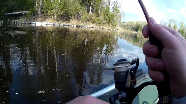Вываживание щуки на отводной поводок смотреть онлайн