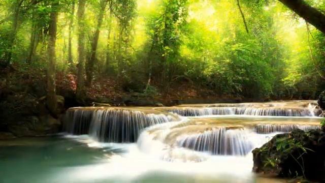 Путешествие в прошлое. Что лежит в основе многих ваших проблем и заболеваний. Практики.