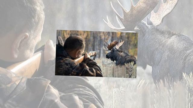 10 интересных фактов о лосях смотреть онлайн