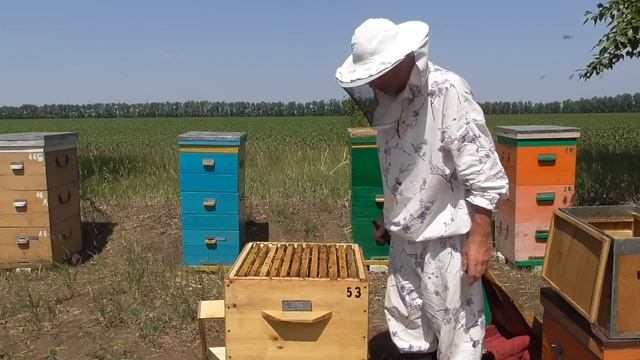 Перестановка гнездовых корпусов местами в многокорпусном улье.Новинки в компании УЛЕЙСИБИРИ. смотреть онлайн