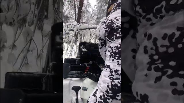 Экскурсии на квадроциклах. смотреть онлайн