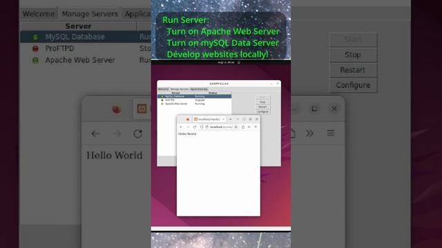 Install XAMPP смотреть онлайн