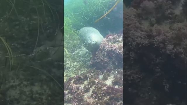 Главное нос по ветру держать😁 смотреть онлайн