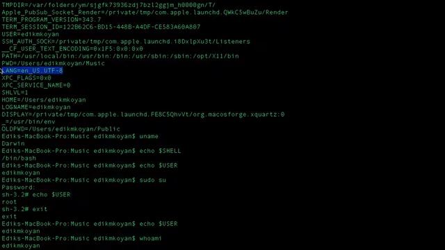 Linux environmental variables смотреть онлайн