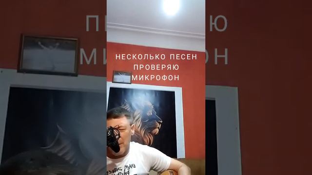 НЕСКОЛЬКО ПЕСЕН ДЛЯ ВАС | Проверяю микрофон #костровойгитара #голоссибири смотреть онлайн