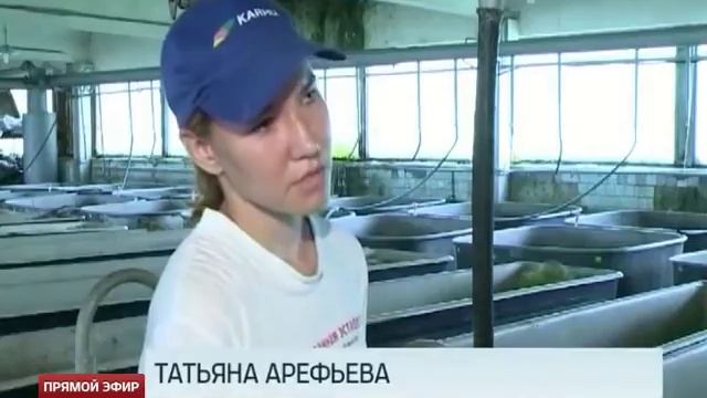 В реку Большой Рефт запустили 40 тысяч мальков стерляди смотреть онлайн