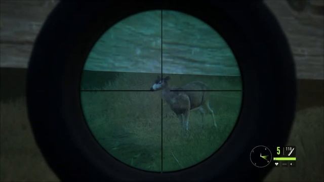 theHunter Call of the Wild смотреть онлайн