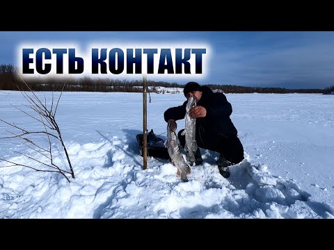 ПРОВЕРКА ЖЕРЛИЦ мои самоловки точно работают смотреть онлайн