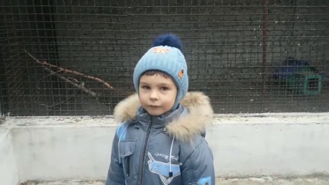 АКВАРИУМ,ЗООПАРК,ЗИМНИЙ САД,ВЫСТАВКА МИНИ-ПОЕЗДОВ/AQUARIUM,ZOO,CONSERVATORY/