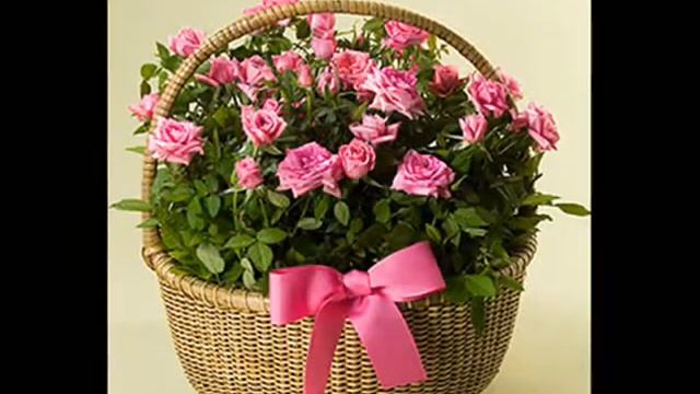 с днем рождения мария. смотреть онлайн