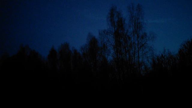 Вальдшнеп 24.03.14 смотреть онлайн