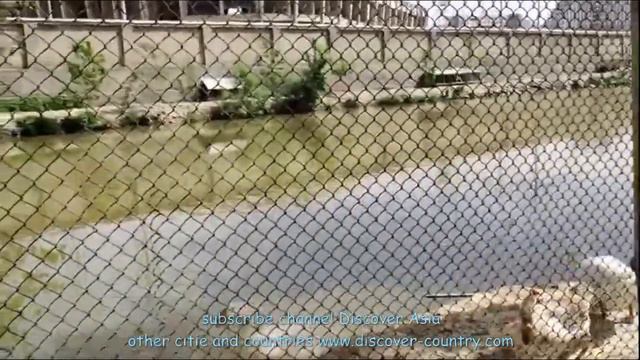 Tajikistan; Dushanbe city; Zoo смотреть онлайн