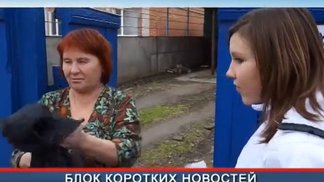 школа №1 станица Динская, 2013 год смотреть онлайн
