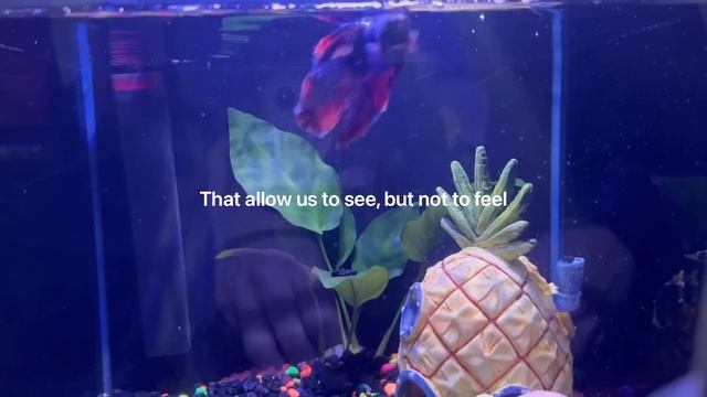 em’s prequel | missed moments and scintillating scenes смотреть онлайн