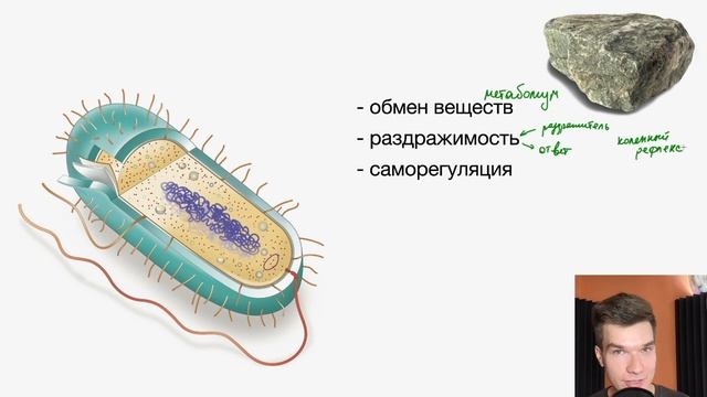 1.3. Свойства живого | Общая биология к ЕГЭ | Георгий Мишуровский