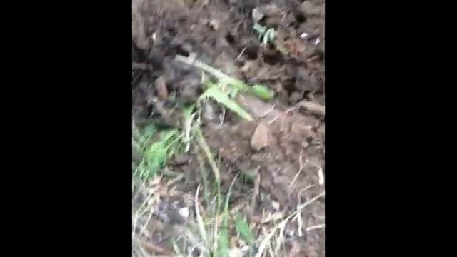 Выпуск 2 Найден клад черного металла